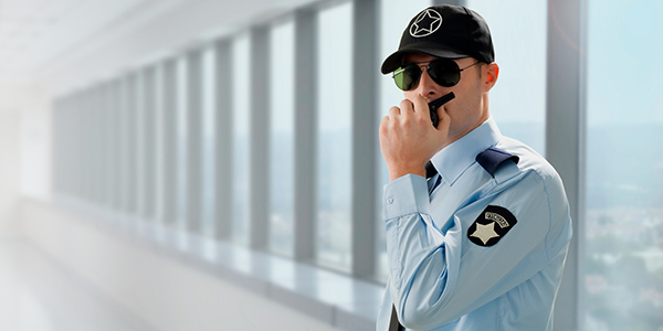 electronic-security-system
